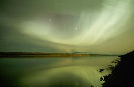 Natural Scenes